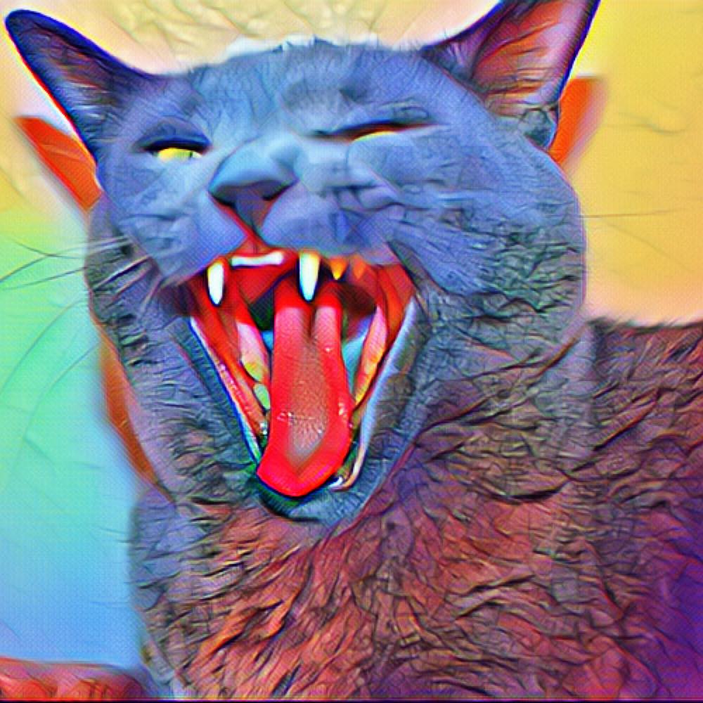 Laughing Cat Fibers